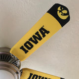 University of Iowa Hawkeyes