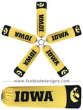 University of Iowa Hawkeyes