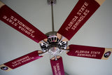 Florida State Seminoles