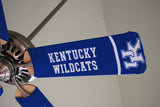 University of Kentucky Wildcats