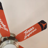 University of Texas Longhorns