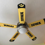 University of Iowa Hawkeyes